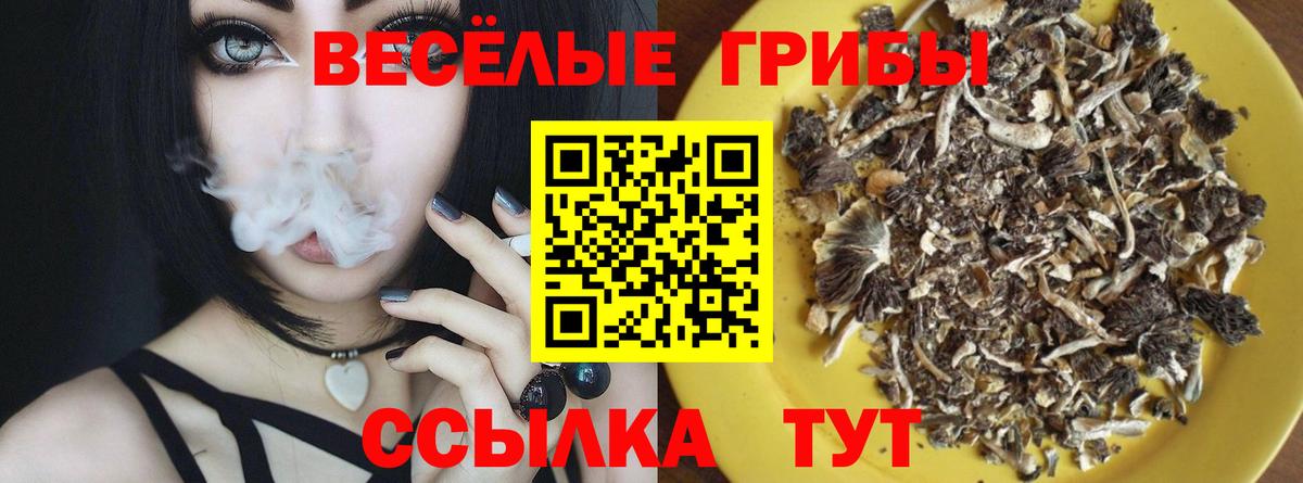 Псилоцибиновые грибы GOLDEN TEACHER  Вход с VPN  Хабаровск 