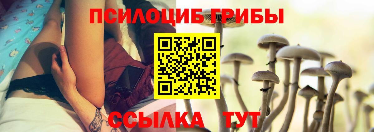 Псилоцибиновые грибы мухоморы Хабаровск